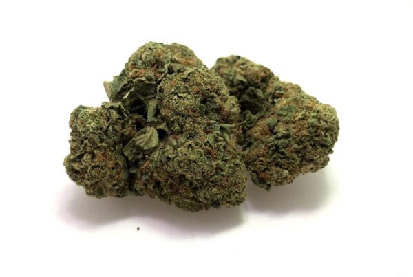 Headband [S] *$80 OZ Special*