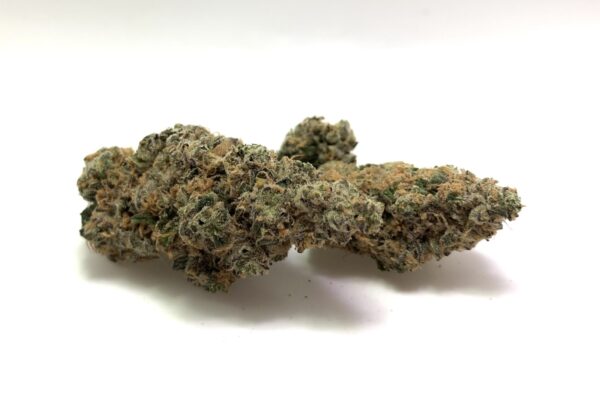 Exodus Cheese [H]