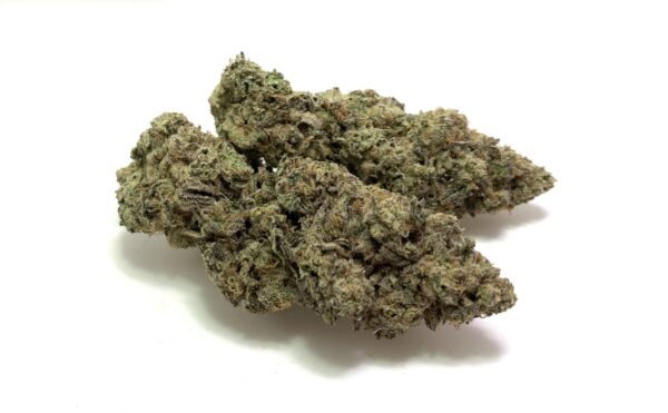 G13 [I] *$200 OZ Special*