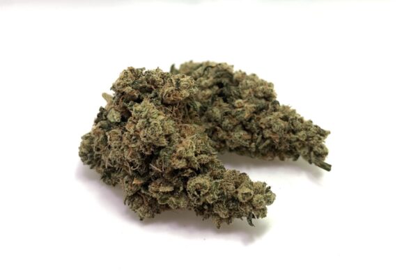 Trainwreck [H]