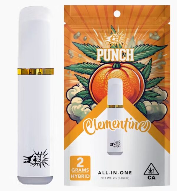 Punch 2g All In One Disposable - Clementine [H]